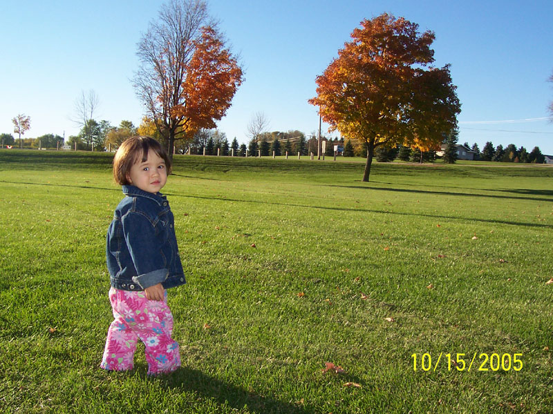 fall_024.jpg