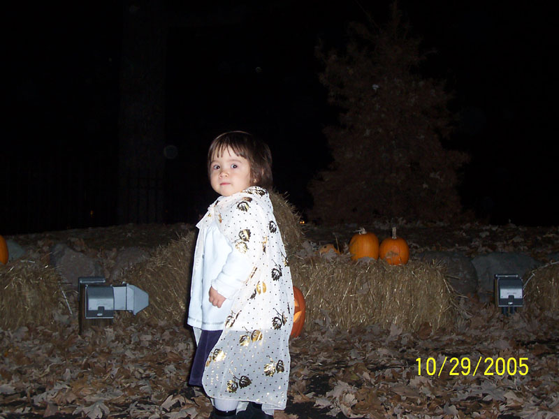 100_3334.jpg