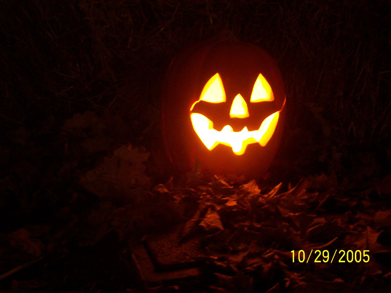 100_3339.jpg