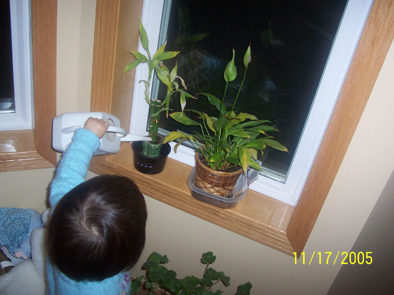 100_3369.jpg