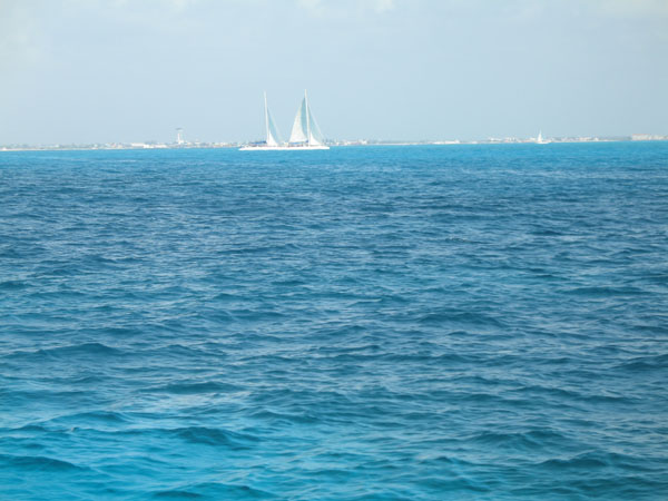 IMG_6771.jpg