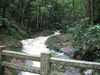 yunque1.jpg