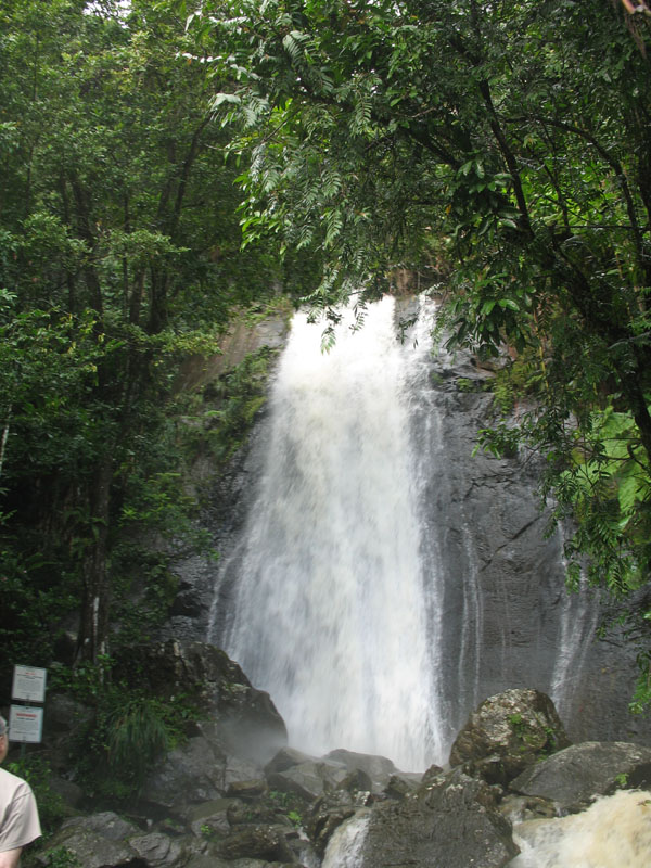 yunque4.jpg