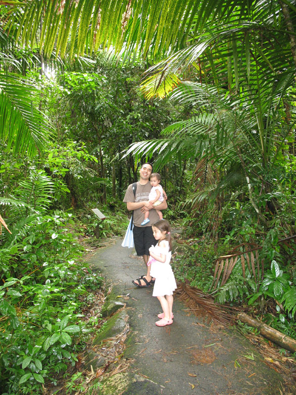 yunque8.jpg