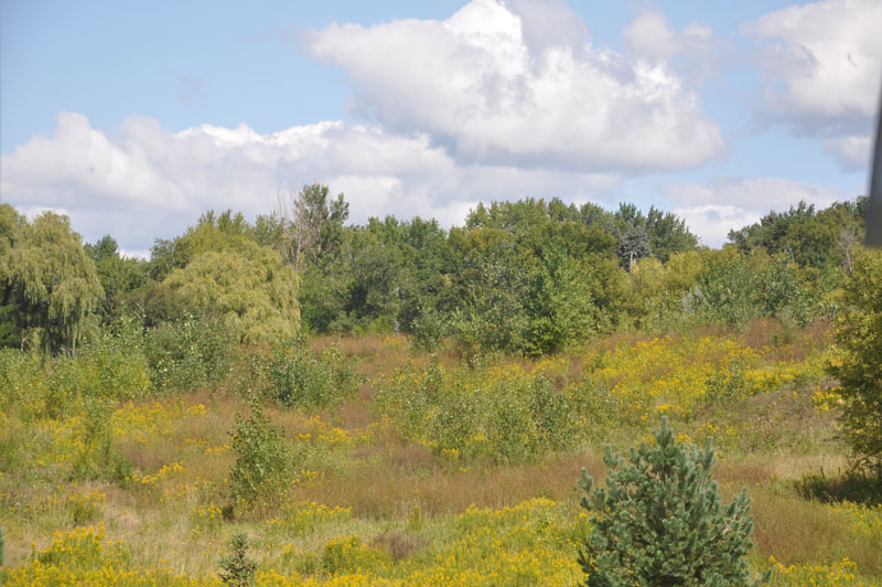 DSC_0096.jpg