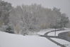 snow_DSC_0205.JPG