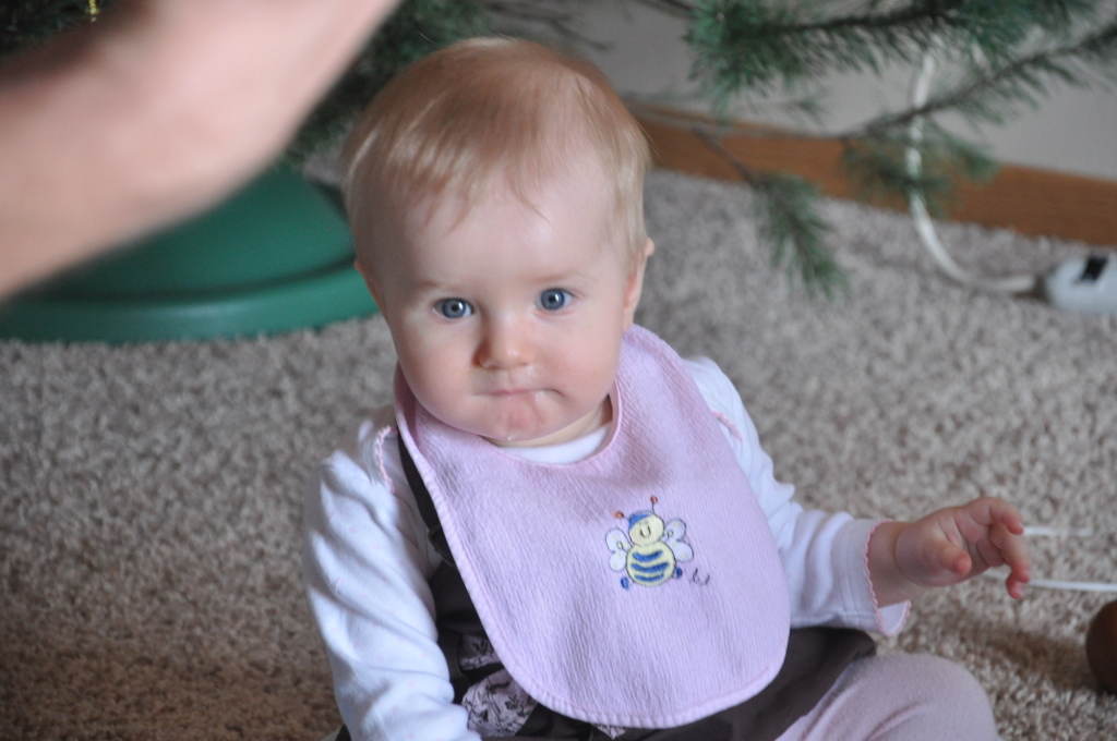 DSC_0081.JPG