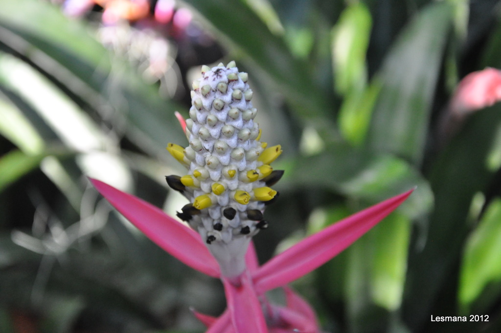 DSC_0063.JPG