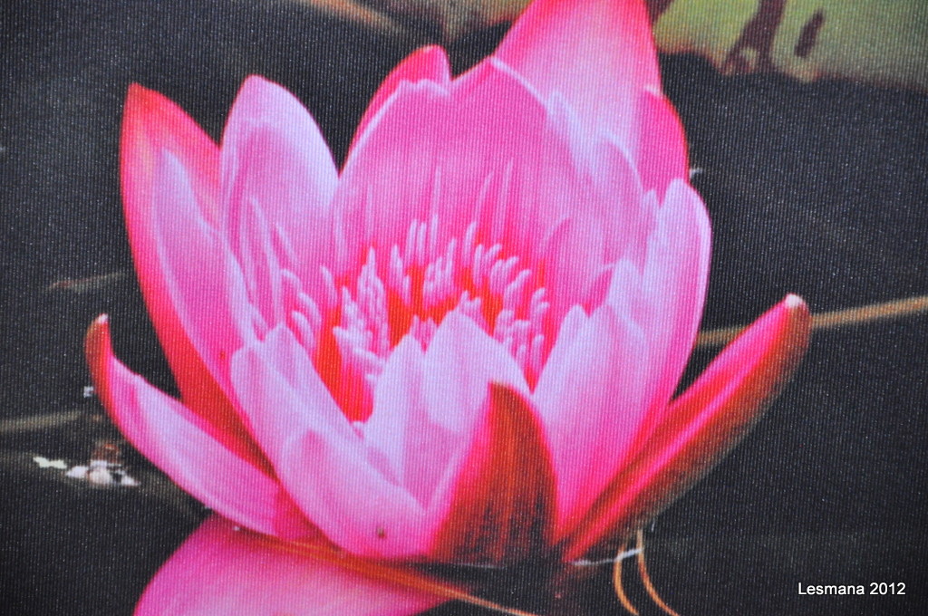 DSC_0067.JPG
